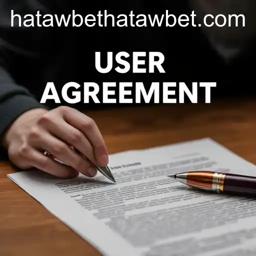 Understanding User Agreements: A Critical Analysis